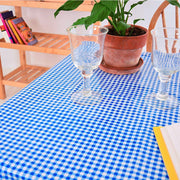 Above view:  Blue and white checkered pattern tablecloth covering table, potted plant centerpiece. 