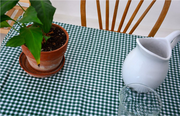 Above view: Green and white checkered pattern tablecloth, potted plant centerpiece.